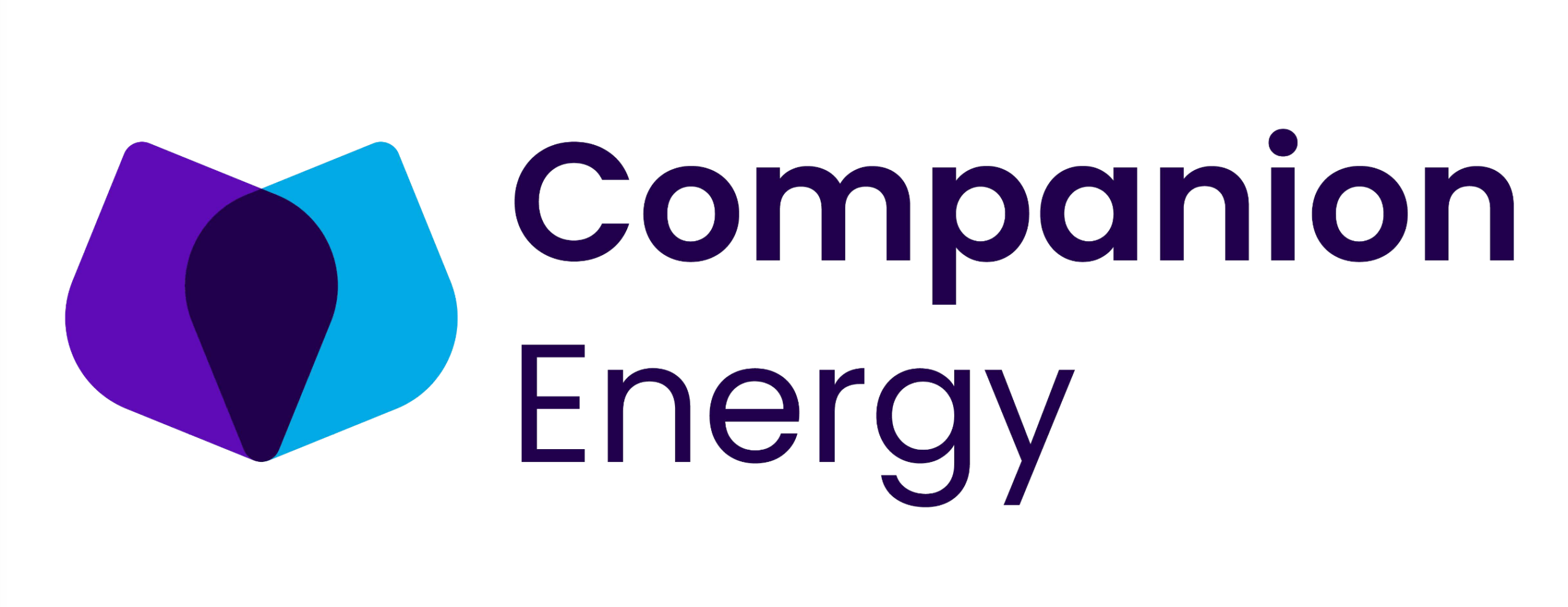 <p>Why Switch to<br />
Companion Energy?</p>
